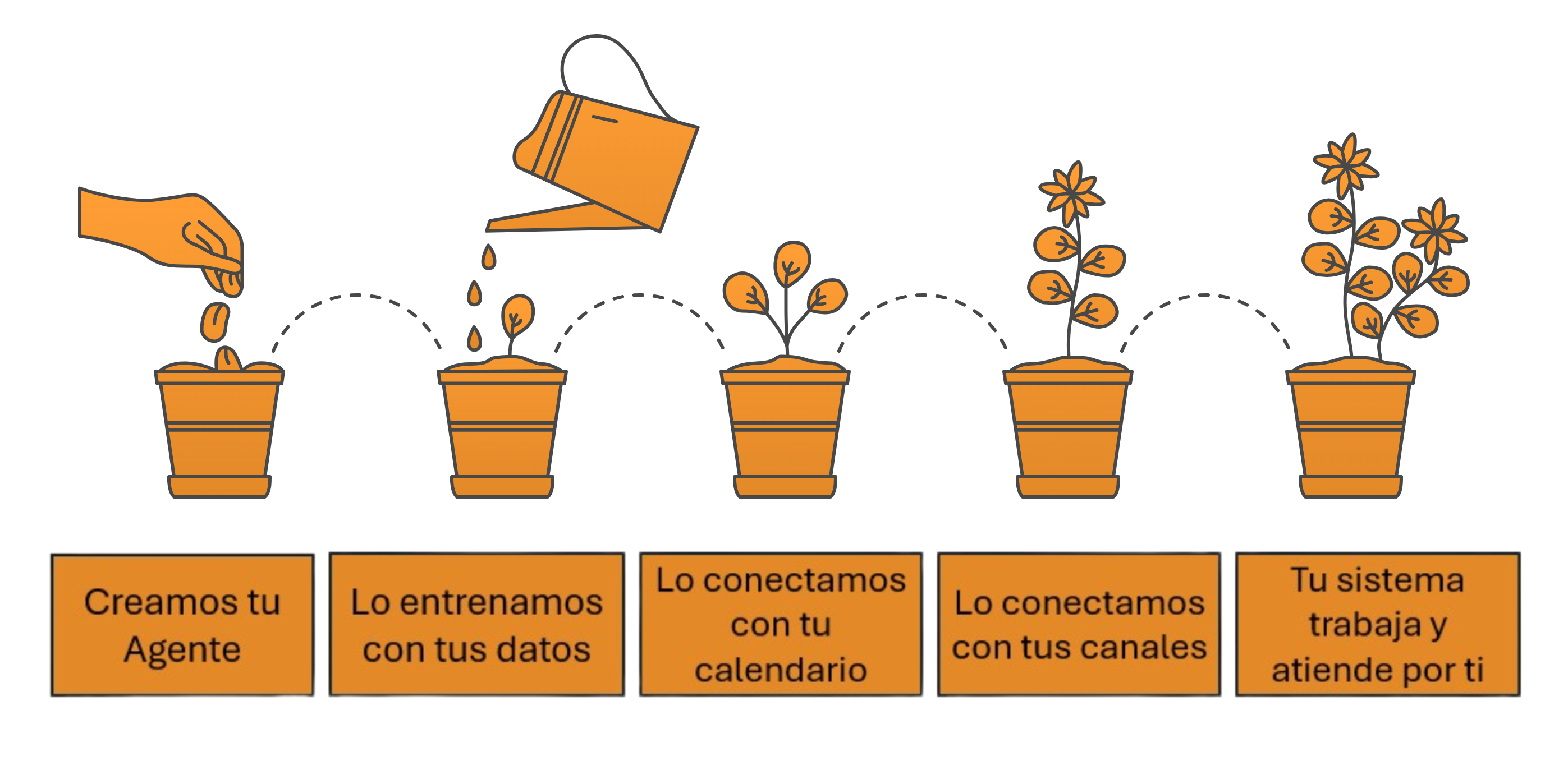Los 5 pasos de NeoLyncis